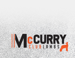 McCurry Club Lambs